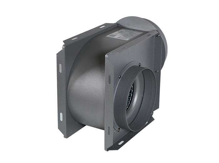 西奧多產品細節(jié)